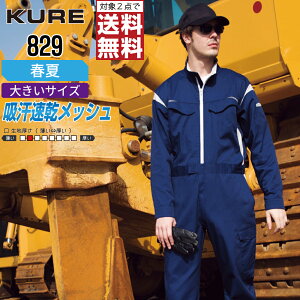 y2_wőz 傫TCY NqtN 829 ƕ t  Ȃ Y z X|[cCN KURE ƒ   3L 4L 5L