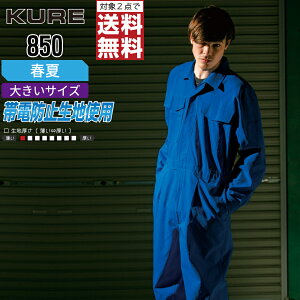 y2_wőz 傫TCY NqtN 850 ƕ t  Ȃ Y KURE ƒ   3L 4L 5L