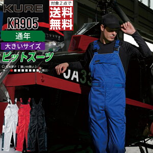 y2_wő^C{CXΉz 傫TCY NqtN KR905 ƕ ʔN d Tybg Y NqtN KURE ƒ   3L 4L 5L