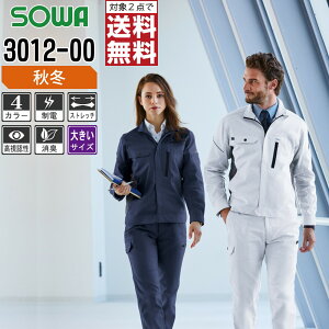 y2_wő^C{CXΉz 傫TCY Ka ƕ H~ d  u] Y fB[X Xgb` 3012-00 SOWA ƒ   3L 4L 6L