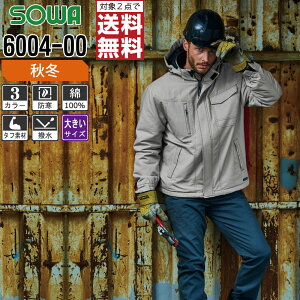 y2_wőz 傫TCY Ka h H~  h u] Y ȑf  6004-00 SOWA ƕ   3L 4L 6L