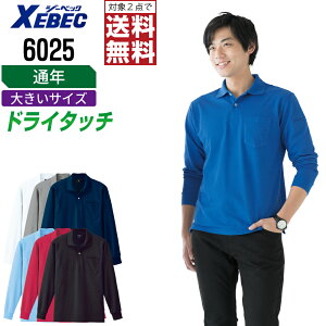 y2_wő^C{CXΉz 傫TCY W[xbN ƕ ʔN z  |Vc Y fB[X L 6025 XEBEC [xbN ƒ   3L 4L 5L