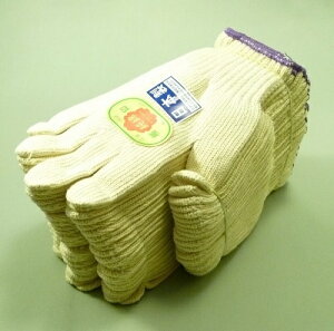 XR@V5{҂݁@1_[Xi12oj