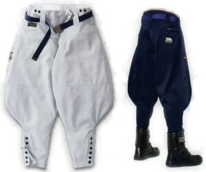 Ј Ε 2530-401 Ј뎵 73`115cm