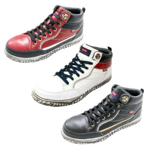 GhEB EDWIN SCESM-102 Sc y