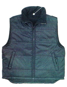 V h 1610 t[X LgxXg M ` 3L (EL)