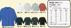 W[xbN XEBEC Ci[ 6123 TVc S ` 5L