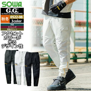 Ka SOWA ƕ ƃY{ 0522-08 WK[pc 4L H~p Y \[ [NEFA