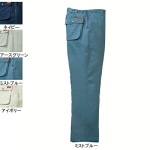 d ƕ 48091 hpc M-LL h H~p ƃY{ ƒ Y [NEFA jichodo 