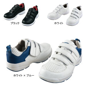 d ƕ SC S8052R Z[teBXj[J[ 24-29 Y [NEFA jichodo 