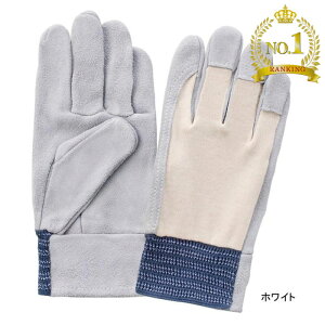 qyVLO1ʓ܁ryzxmO[u Ɨpi EX-120 (10o) M-LL ƕ ƒ ϋv ϔMbX^Cv K [vCX