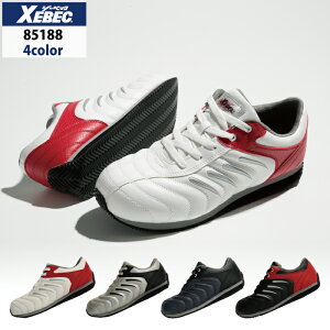 W[xbN XEBEC ƕ SC 85188 ZteBV[Y 23-29 c ƌC ƒ Y [NEFA
