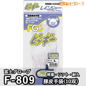 xmO[u Ɨpi F-809 ؔ(10o) M-LL ƕ ƒ ϋv ʋC y L[NV[ K [vCX