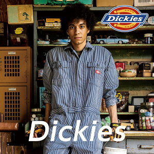 Dickies fBbL[Y qbR[ D-716 Ȃ ciM Y fB[X Xgb` {Ki ƒ ƕ   킢 JWA jp t H~AEghA R[RX