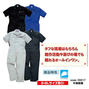 2ڂ250~lA2ytāzSOWA@Ka@39017 Ȃ@ I[C@Y@ƕ