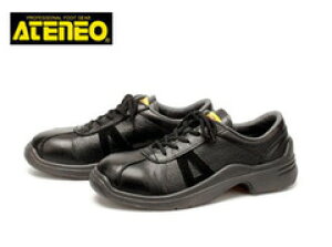 SC ؎Y GT-100 SC fB[XΉTCY y