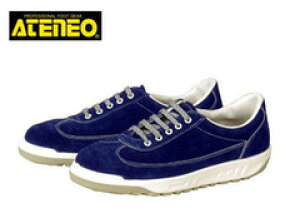 SC ؎Y SK110 SC fB[XΉTCY