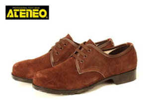 SC fB[XΉTCY ؎Y 1501 SC