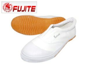 xm܍H ƌC Ƃт FT-1100 zCg lCr[