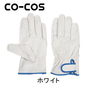 CO-COS R[RX  u^}WbN PK-251