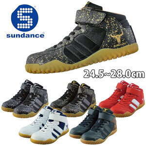 SC nCJbg  }WbNe[v JSAA A퍇i ϖ  Obv NbV Ȑ    / sundance T_X GT-EvoX