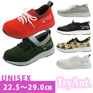 SC ƌC   Xj[J[ Y fB[X  y ʋC 23.5cm 26cm 29cm jp [Jbg   R Sc ubN O[  jbg / TryAnt gCAg A
