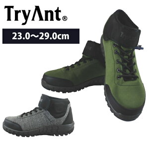 TryAnt �g���C�A���g ���S�C Raganella�i���K�l���j �h���Z�[�t�e�B�V���[�Y R-29