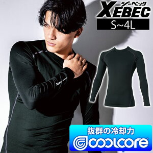 yX[p[SALEz S`4L XEBEC W[xbN tăCi[ ƒ RvbV 6680