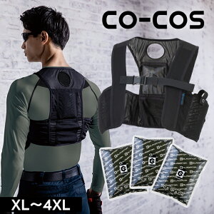 CO-COS R[RX tčƕ ƒ ACXxXg&ACXpbN3Zbg GI-409