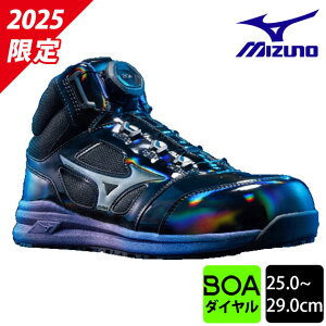 ~Ym SC I[}CeB LSII 73M BOA 2025N胂f F1GA2512