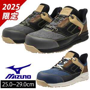 ~Ym F1GA2515 SC I[}CeB LSII 11L 2025N胂f