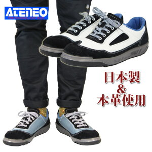  SC [Jbg Xj[J[ v v xA t\tg Y fB[X y  [NV[Y JIS c   / SC ؎Y ZR-11BW ZR-11BG