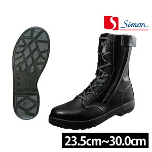 yX[p[SALEz SC V SS33Ct fB[XTCYL C ҂ݏグ