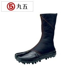 n  XpCN  XpCN s  Y fB[X a  |GXe / ی n XpCN 8 n[ 2^