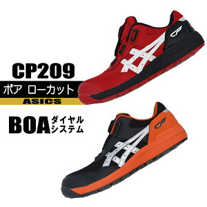 AVbNX [LOV[Y CP209 y{A VXez