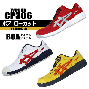 AVbNX [LOV[Y CP306 y{A VXez