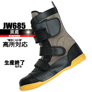 JW685  yΉSCz YIf@ӂ