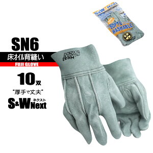 v S&WlNXg yICwDz 10o SN6 vŌ xmO[u