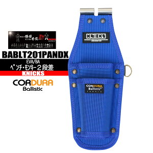 jbNX y`EL[2i yR[foXeBbN`^v[gz {̂̂݁@BABLT201PANDX @H