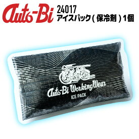 オートバイ アイスパック 保冷剤 1個 交換用 追加用 アイスベスト アイスパックベスト 仕事服 作業着 作業服 山田辰 ab-24017