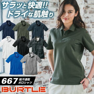 o[g |Vc t 傫TCY z hCbV |Vc ƕ ƒ ƃVc BURTLE  jp  Y fB[X [lR|X] bt-667-b