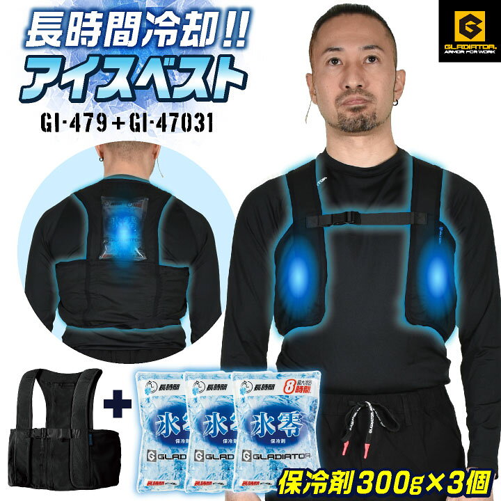 楽天市場】[即日出荷] コーコス アイスベスト 保冷剤300g 3個セット 