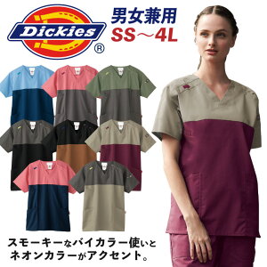 fBbL[Y XNu jp  p ×p Ōt a@ NjbN ȉqm b a@ @ nr  wÖ@m `[XNu Y fB[X Dickies tH[N 