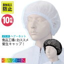 KAZEN カゼン ヘアネット（10枚入り）メッシュ 吸汗 毛髪落下防止 異物混入防止 食品工場 衛生 飲食 [ネコポス] kz-47…