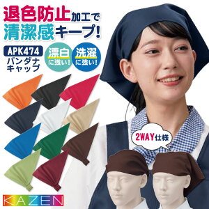 yԌ10%OFFzKAZEN J[ o_i Lbv ωf ސFh~ ɋ |GXe100 T[rX JtF H ~[ HiH [lR|X] kz-apk474-c4