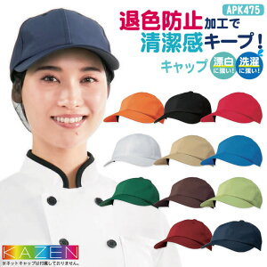 yԌ10%OFFzKAZEN J[ Lbv ωf ސFh~ ɋ |GXe100 T[rX JtF H ~[ HiH kz-apk475-c4