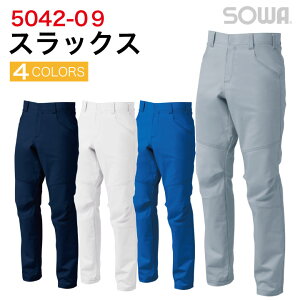 XbNX Xgb` ƃY{ ƒ [NEFA L z hH SOWA H~ fB[XΉ  sw-5042-09-b