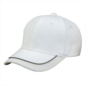 ACgX AITOZ tN^[Lbv 66301 001.zCg ƕ ƒ jtH[