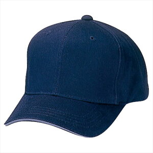 ACgX AITOZ RbgCLbv 66303 008.lCr[ ƕ ƒ jtH[