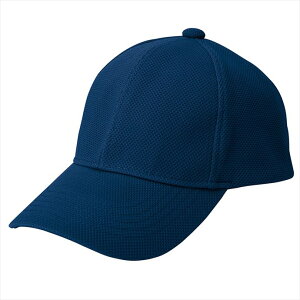 ACgX AITOZ yʃu[YLbv 66312 008.lCr[ ƕ ƒ jtH[